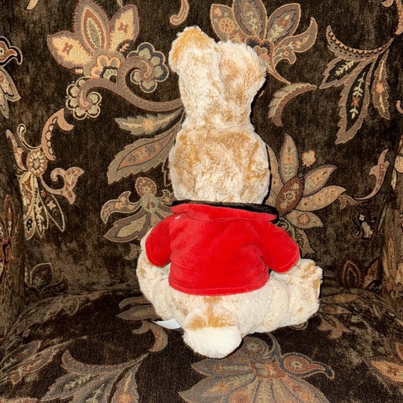 Peter Rabbit Plush Bunny Beatrix Toy Stuffed Animal 2025 with red Jacket… - Picture 2 of 7